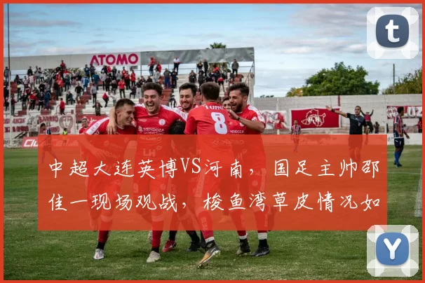 中超大连英博VS河南，国足主帅邵佳一现场观战，梭鱼湾草皮情况如何？_进行_球员