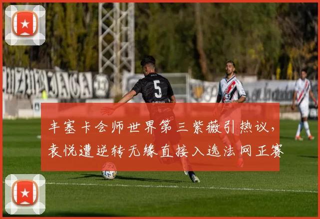 丰塞卡会师世界第三紫薇引热议，袁悦遭逆转无缘直接入选法网正赛