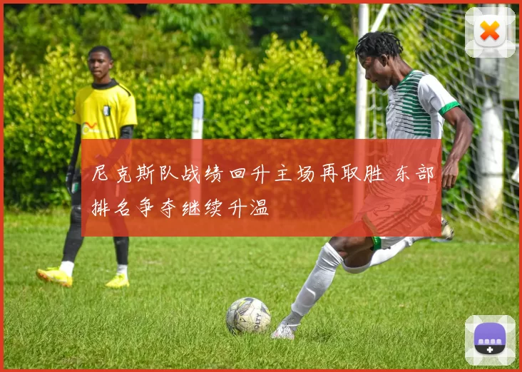 尼克斯队战绩回升主场再取胜 东部排名争夺继续升温