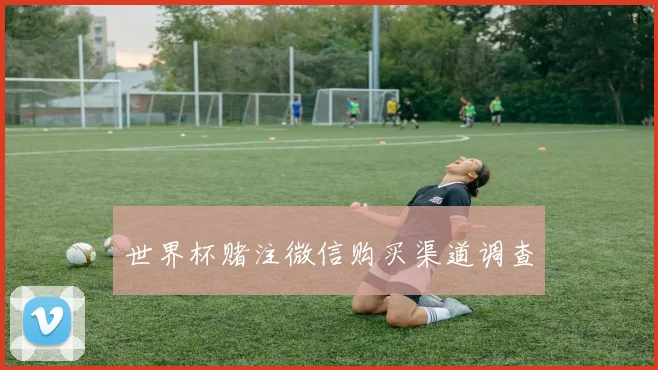 世界杯赌注微信购买渠道调查