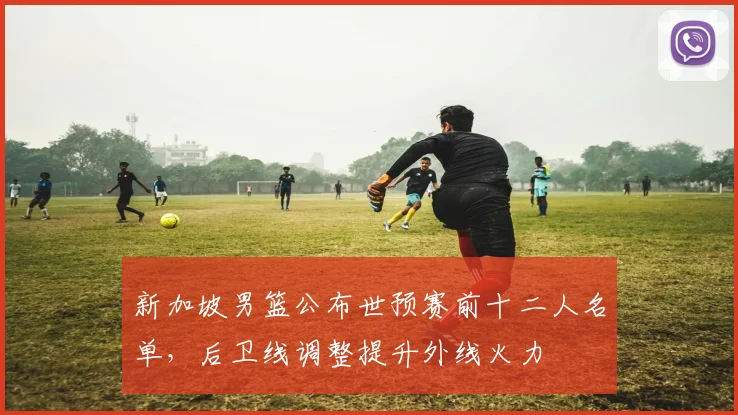 新加坡男篮公布世预赛前十二人名单，后卫线调整提升外线火力